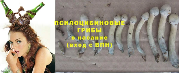 амфетамин Белокуриха