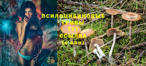 гидра Беломорск