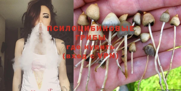спиды Строитель