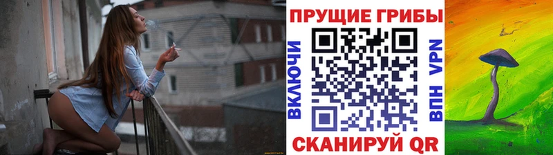 как найти закладки  Крымск  Псилоцибиновые грибы мухоморы 
